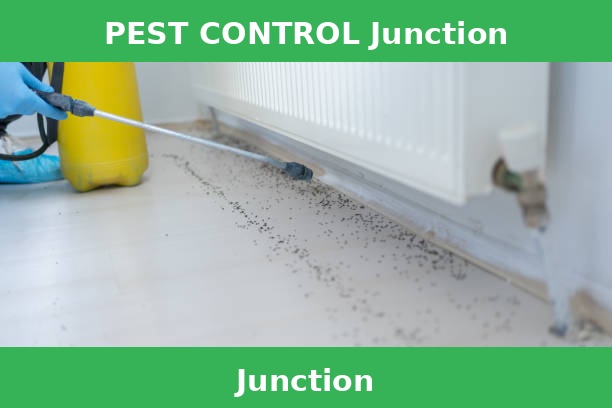 PEST CONTROL Junction